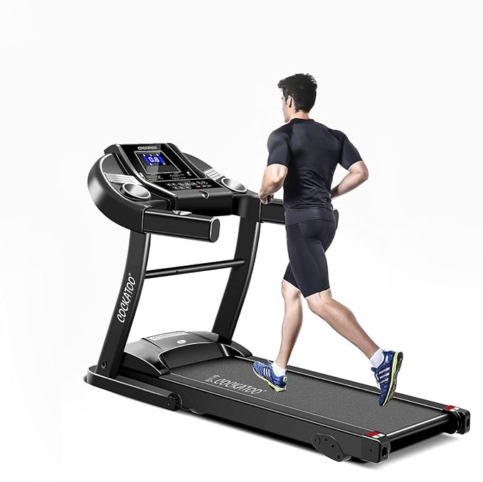 Cockatoo Treadmill